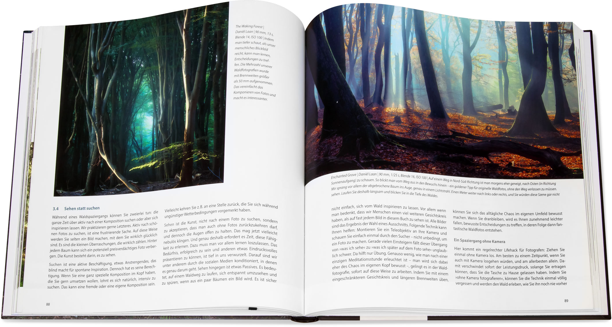 Blick ins Buch: Praxisbuch Wälder fotografieren