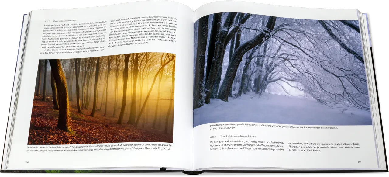 Blick ins Buch: Geheimnisse der Waldfotografie