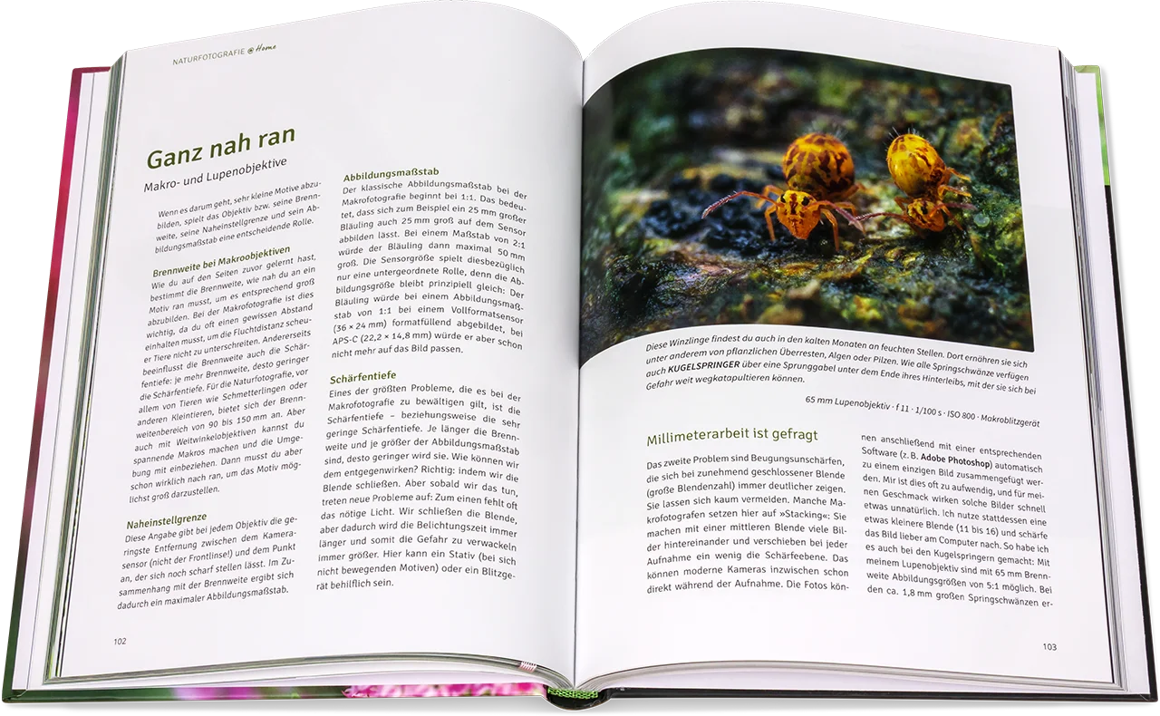 Blick ins Buch: Naturfotografie im Garten