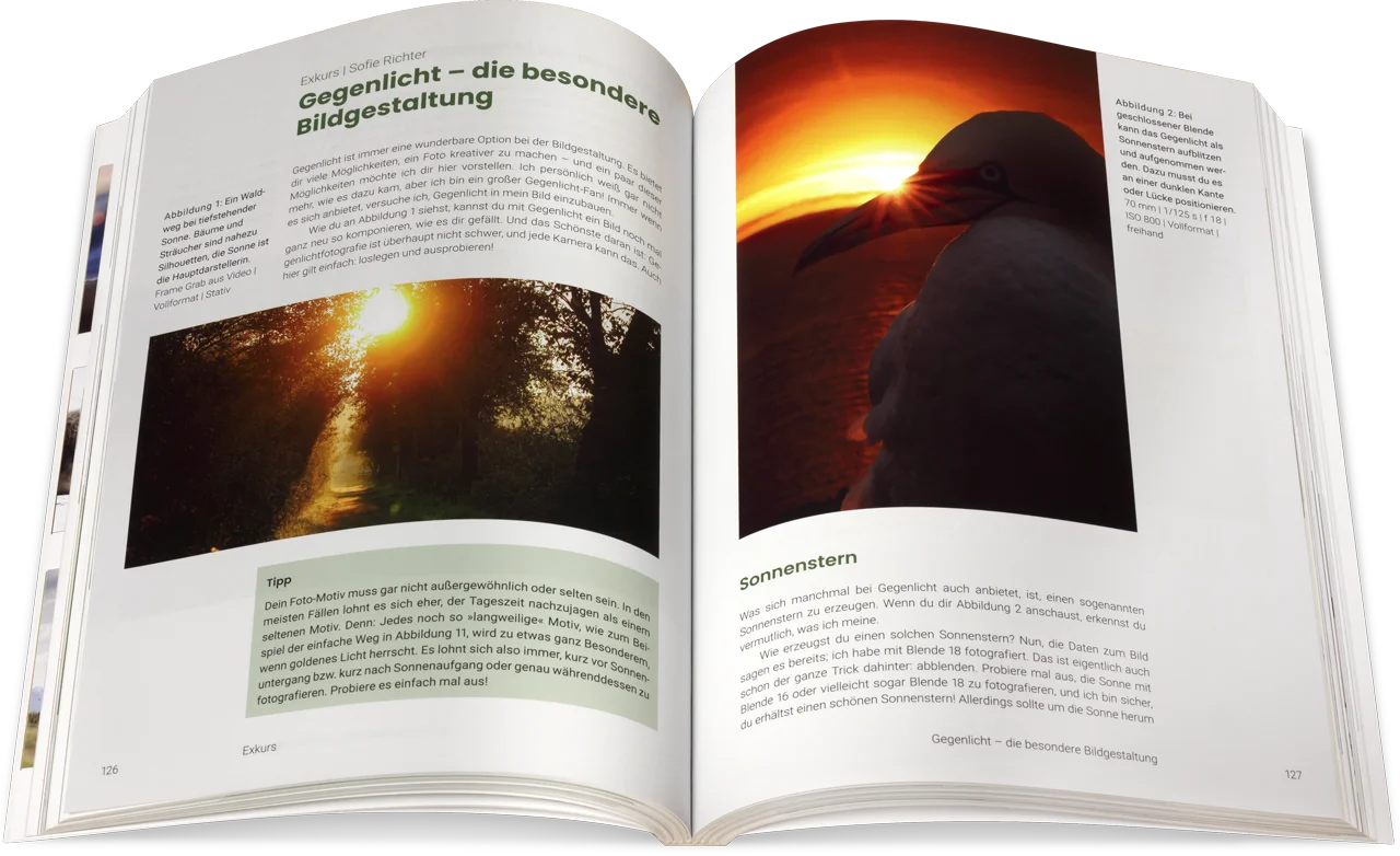 Blick ins Buch: Naturfotografie für Jugendliche