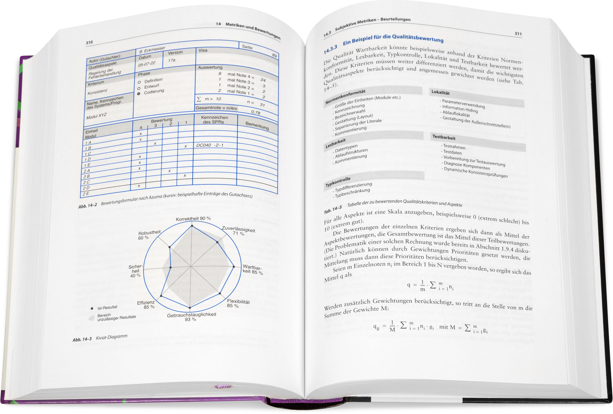 Blick ins Buch: Software Engineering – Grundlagen, Menschen, Prozesse, Techniken