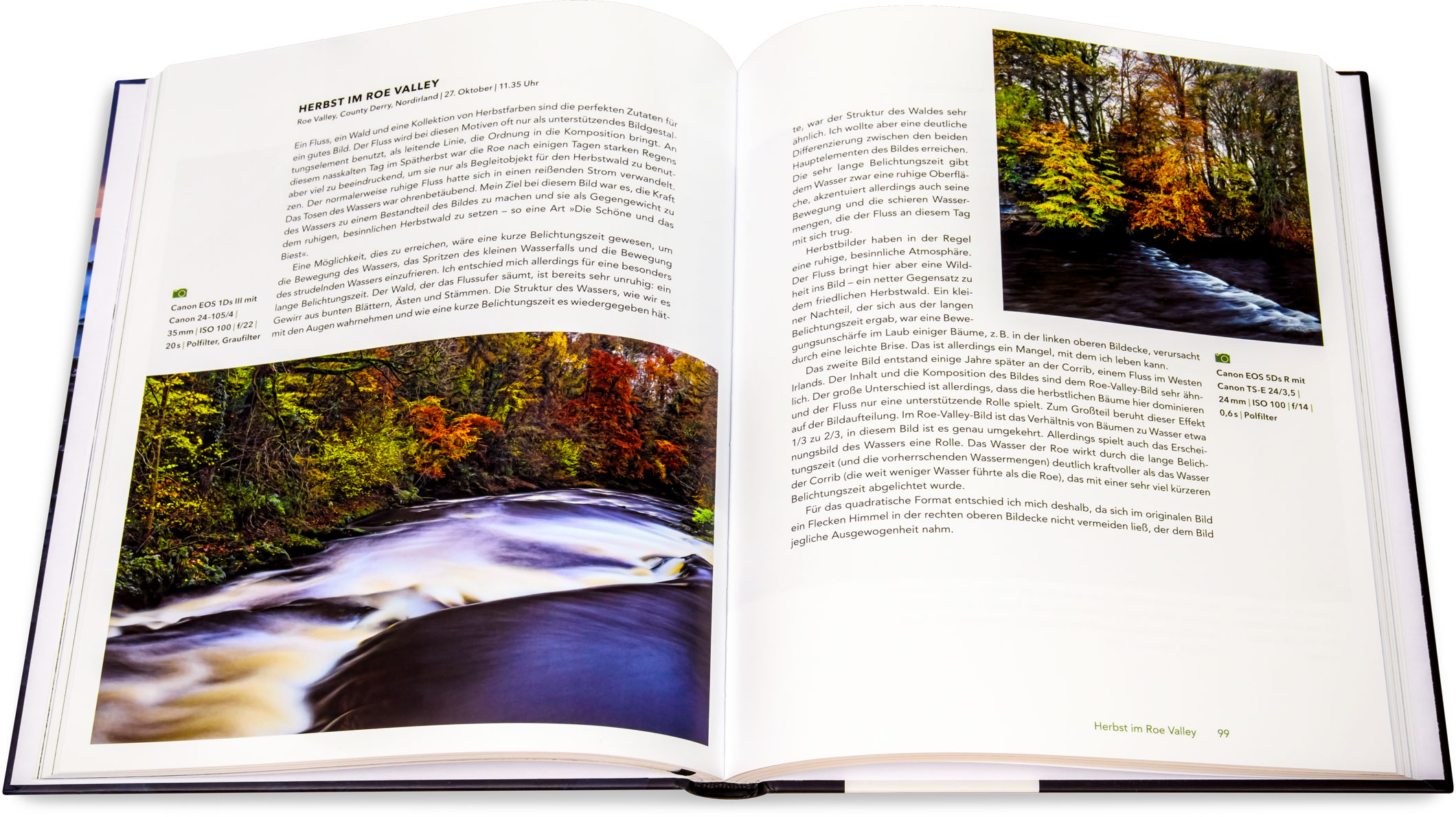 Blick ins Buch: Licht, Farbe und Form in der Landschaft