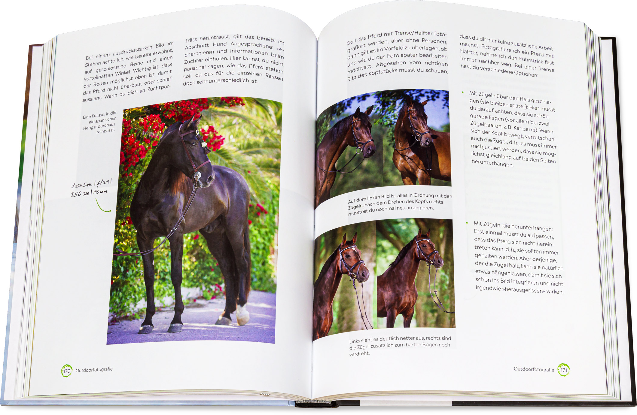 Blick ins Buch: Haustiere fotografieren