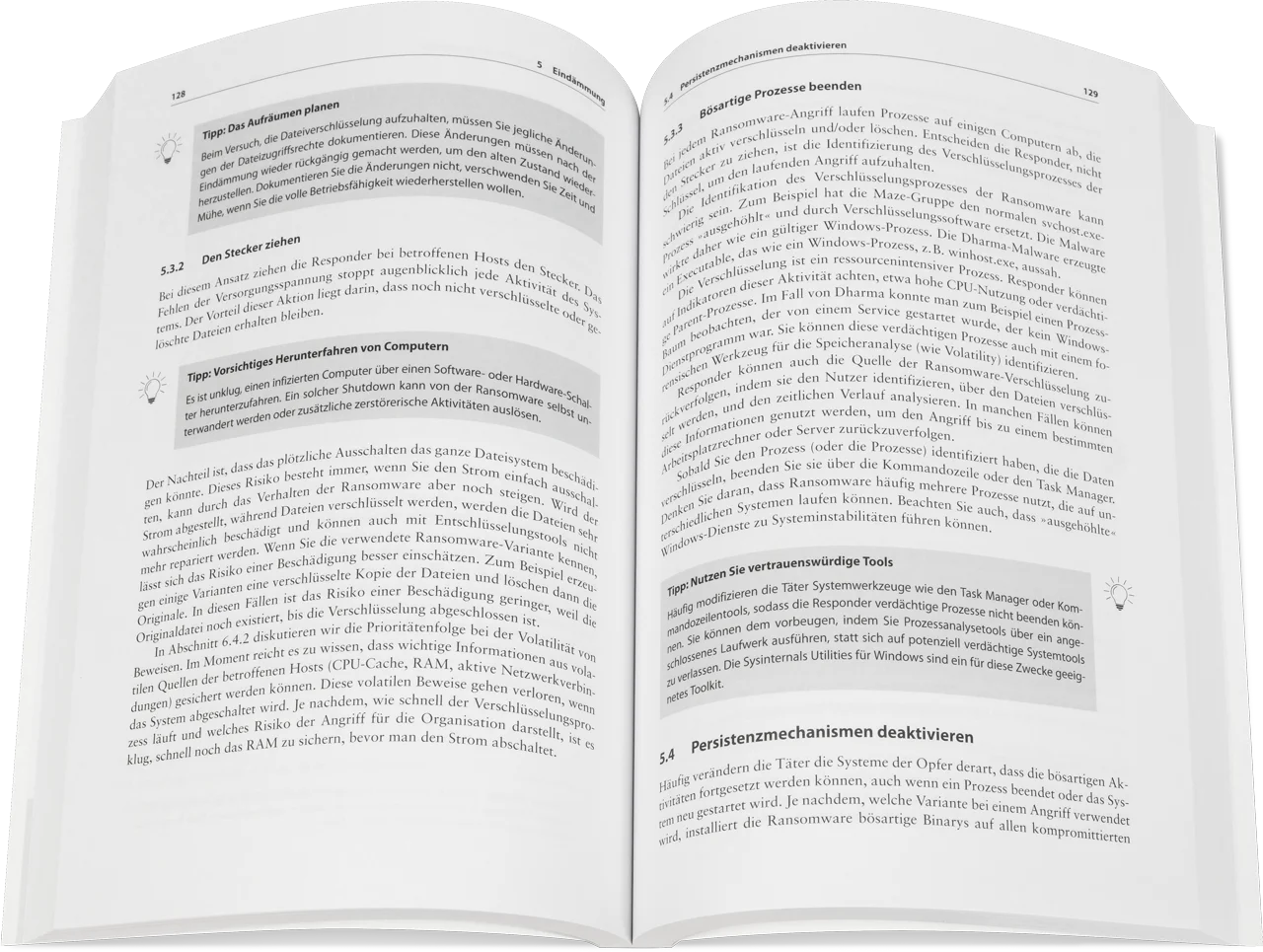 Blick ins Buch: Ransomware und Cyber-Erpressung