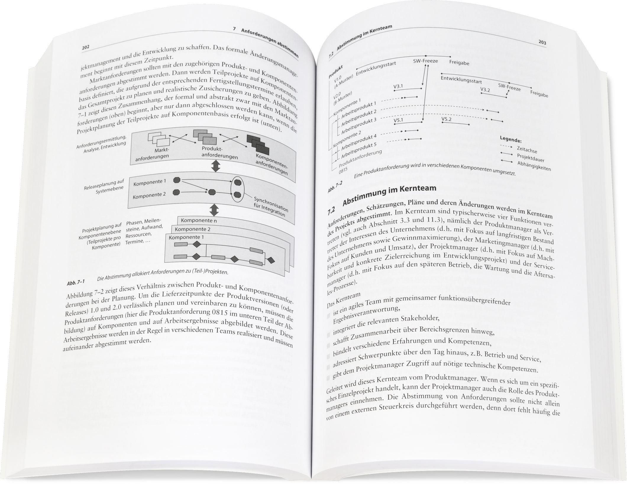 Blick ins Buch: Systematisches Requirements Engineering