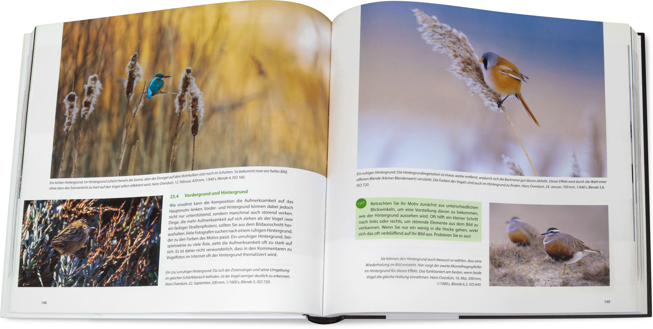 Blick ins Buch: Kompendium der Vogelfotografie