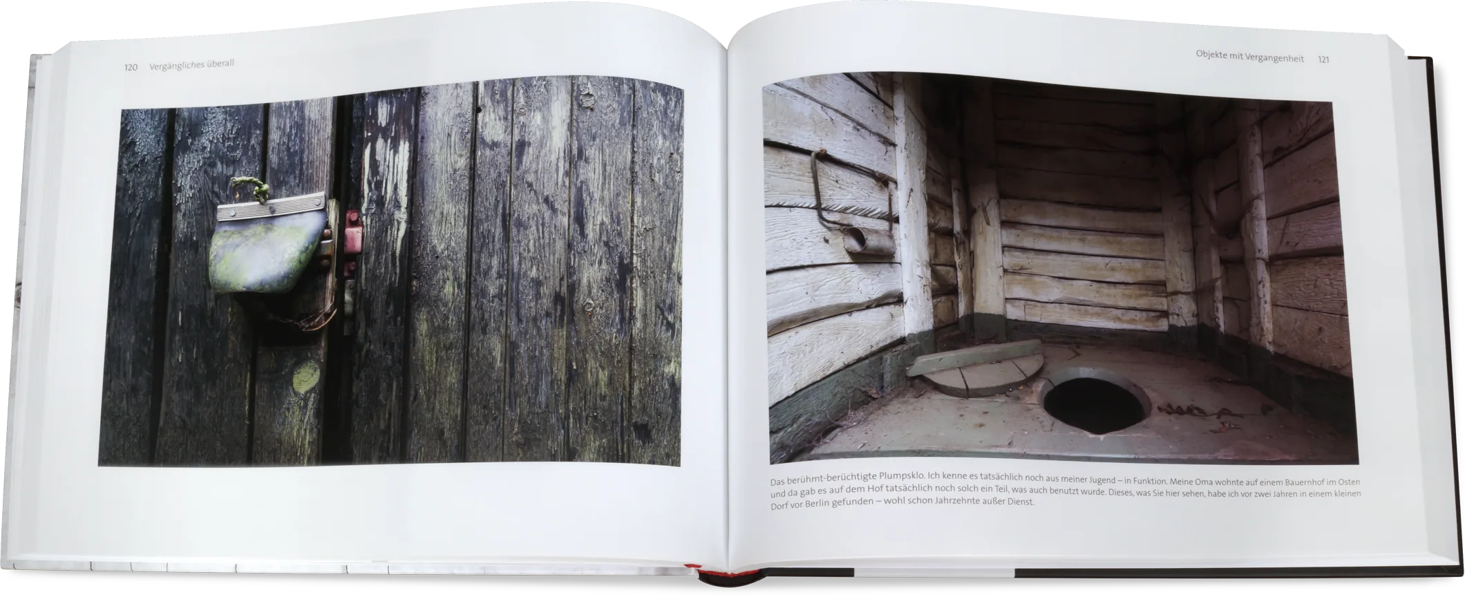 Blick ins Buch: Die Schönheit des Vergänglichen