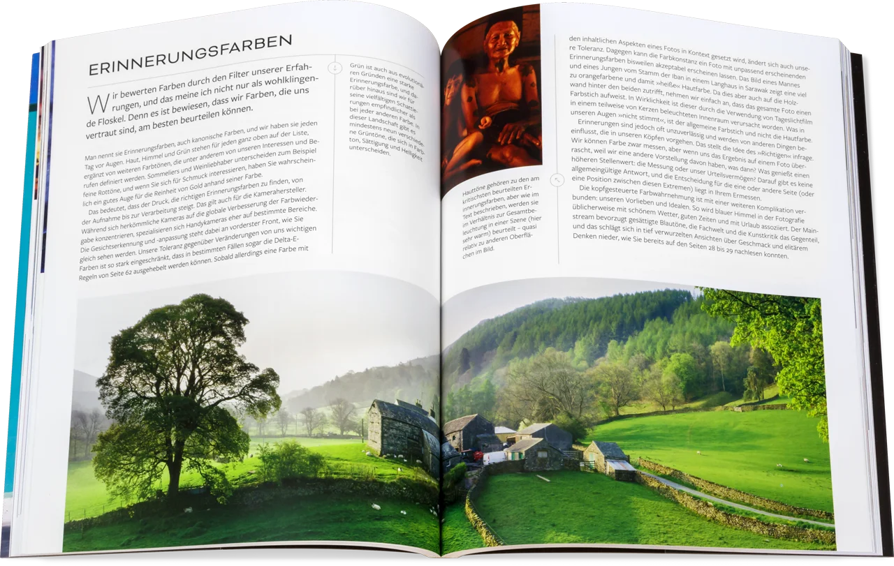 Blick ins Buch: Michael Freemans Farbe & Ton