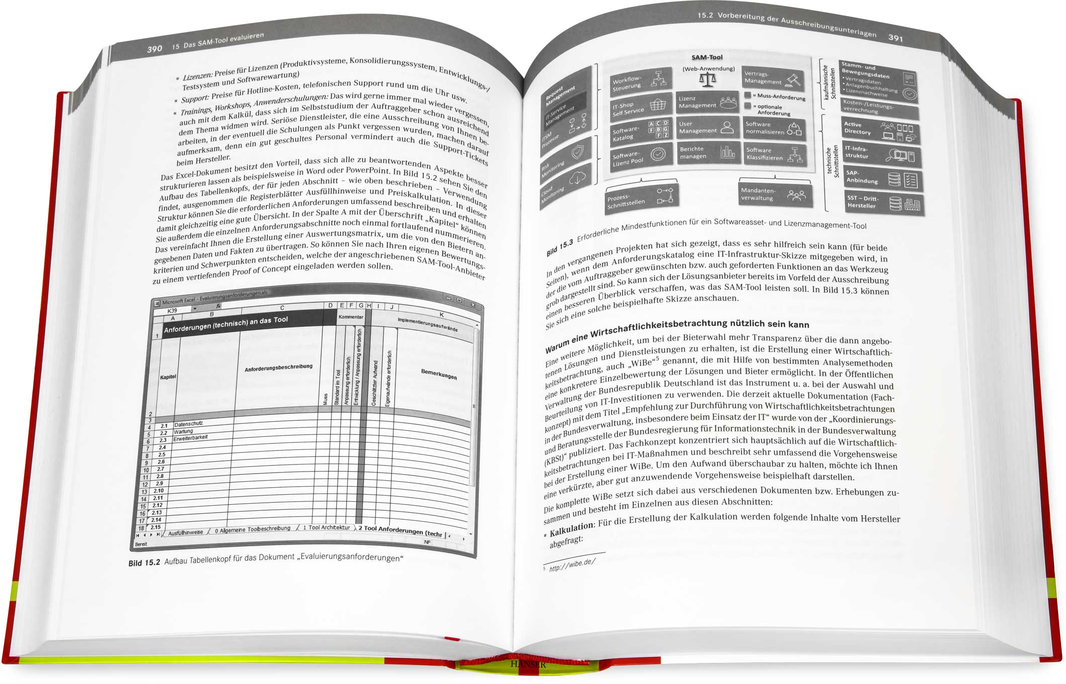 Blick ins Buch: 1x1 des Lizenzmanagements