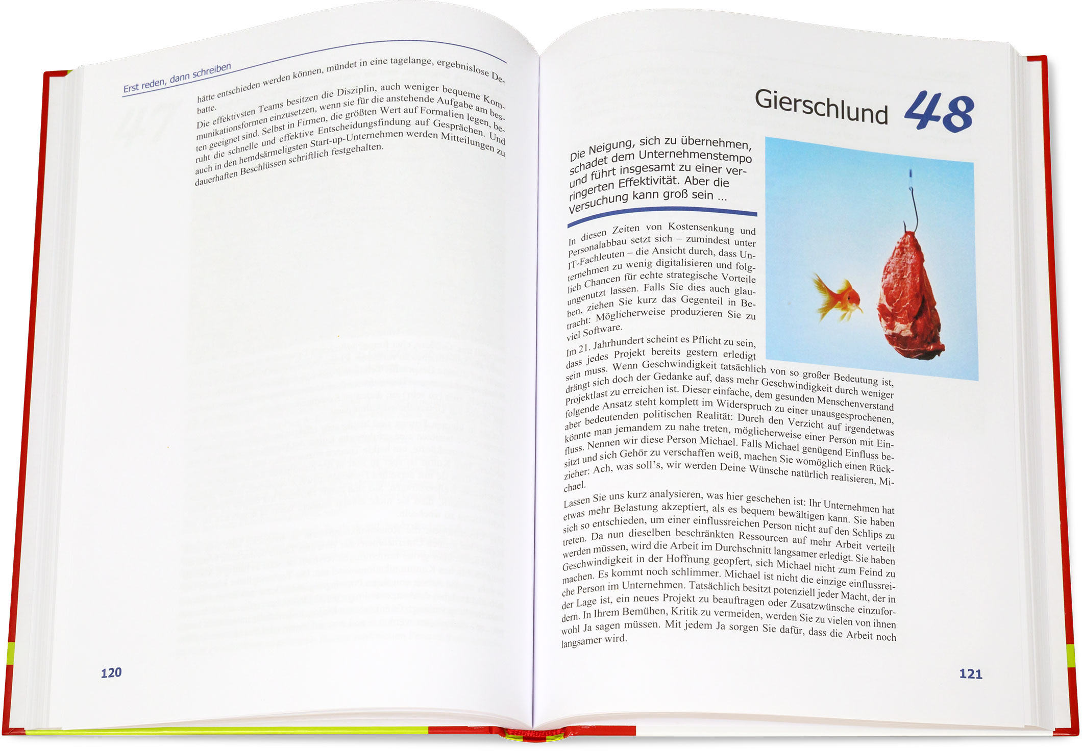 Blick ins Buch: Adrenalin-Junkies und Formular-Zombies