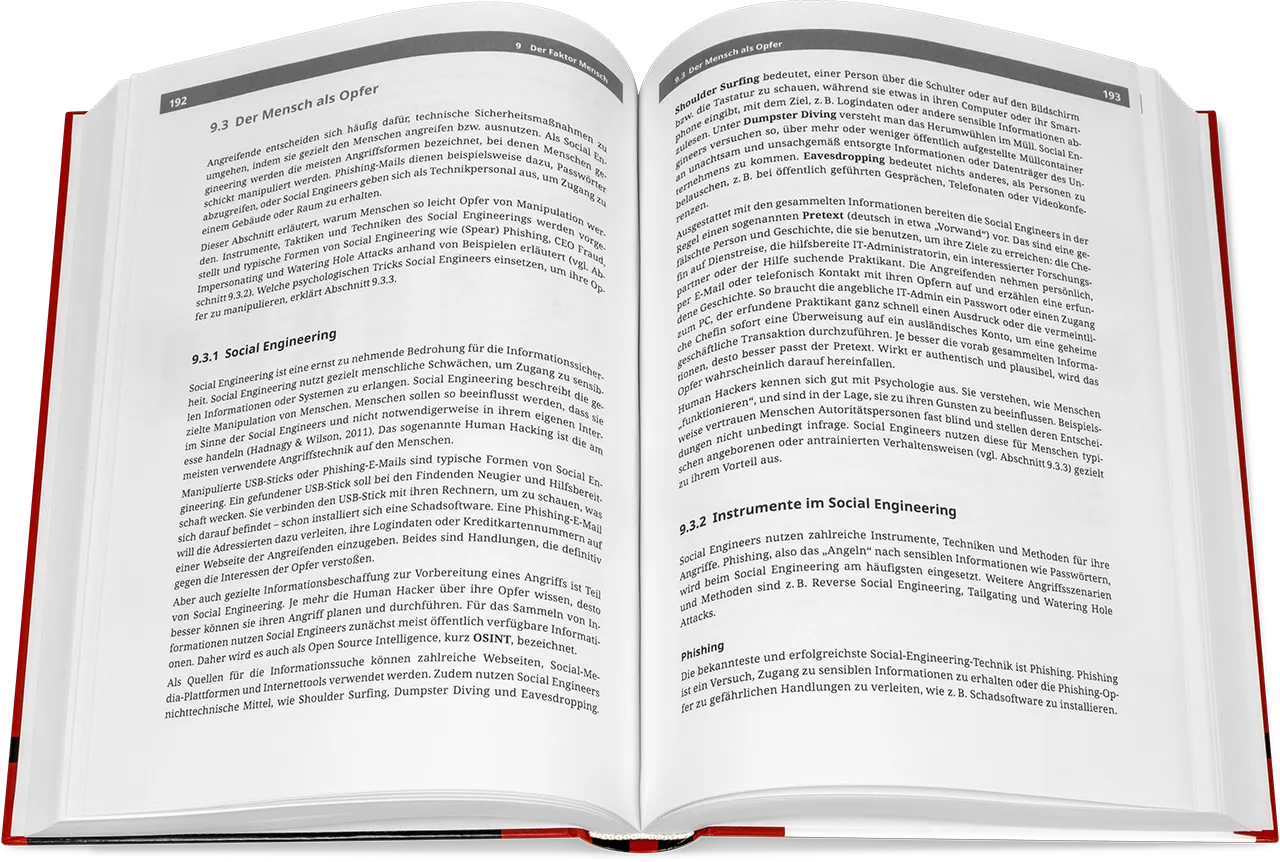 Blick ins Buch: IT-Sicherheit