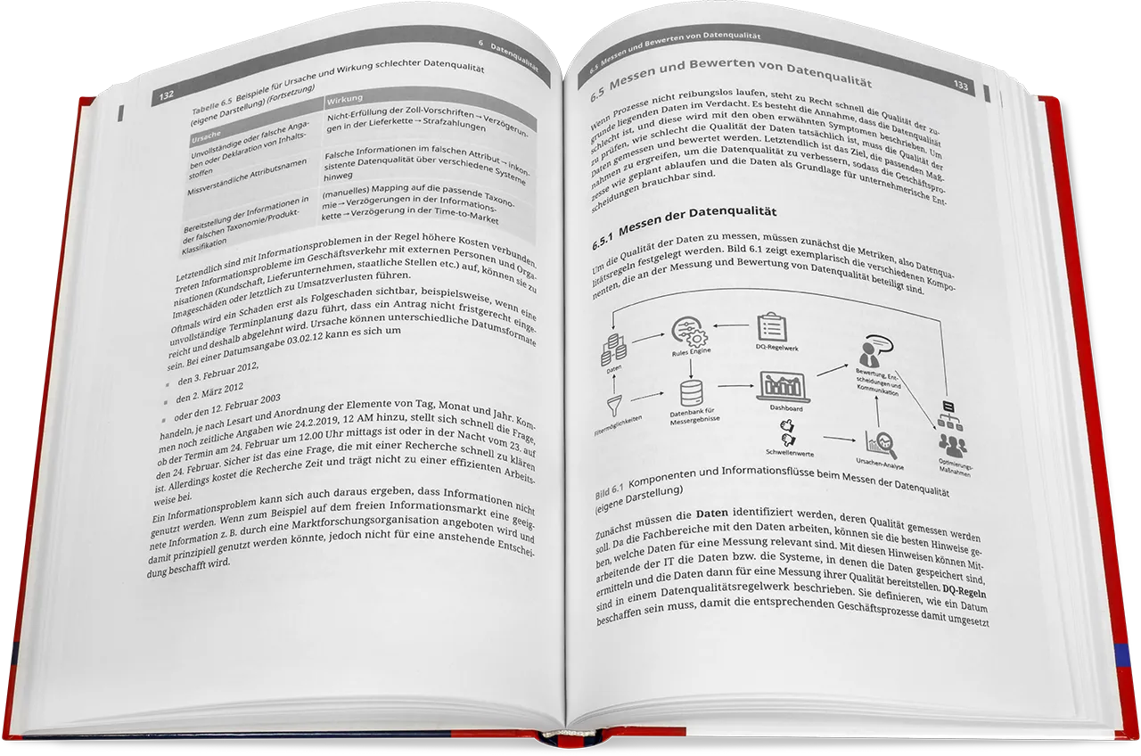 Blick ins Buch: Data Governance - Der Leitfaden für die Praxis