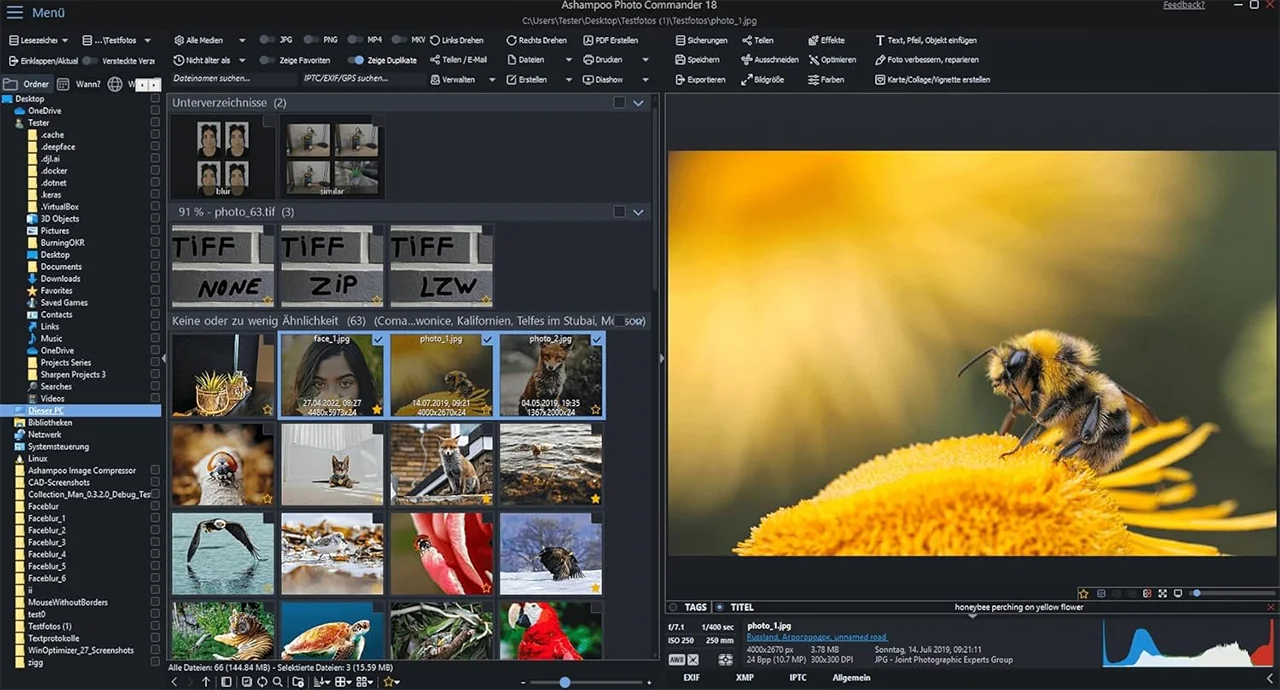 CD/DVD Druckerei 8.5
