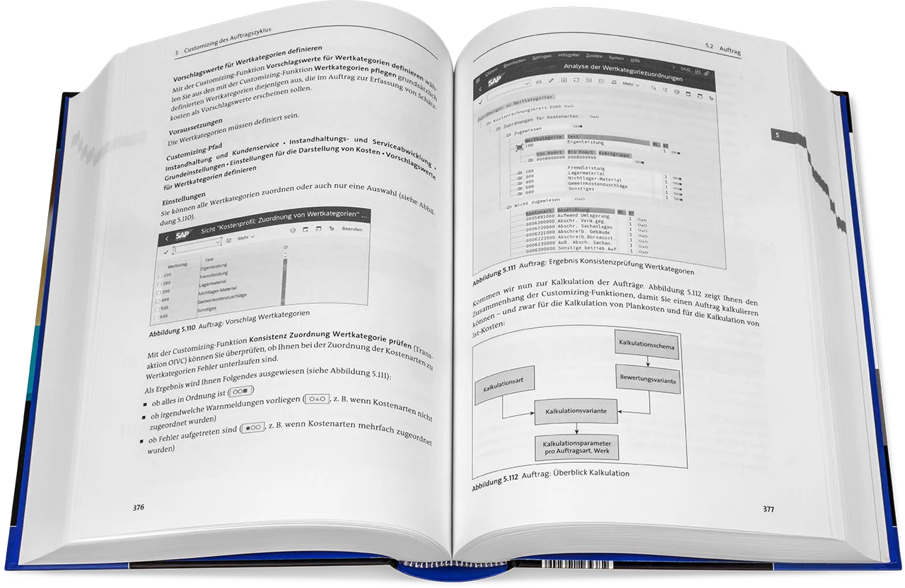 Blick ins Buch: Instandhaltung mit SAP S/4HANA – Customizing