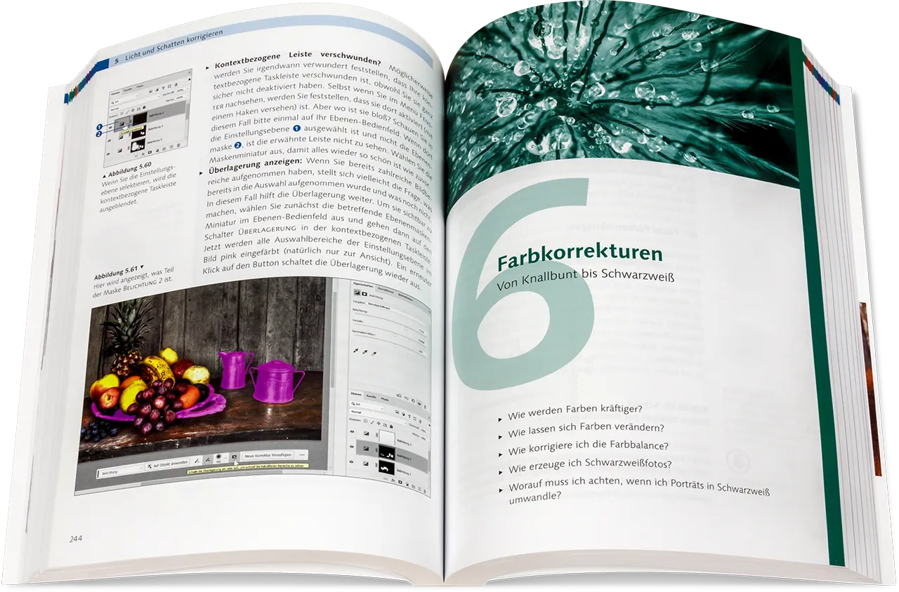 Blick ins Buch: Adobe Photoshop - Der professionelle Einstieg