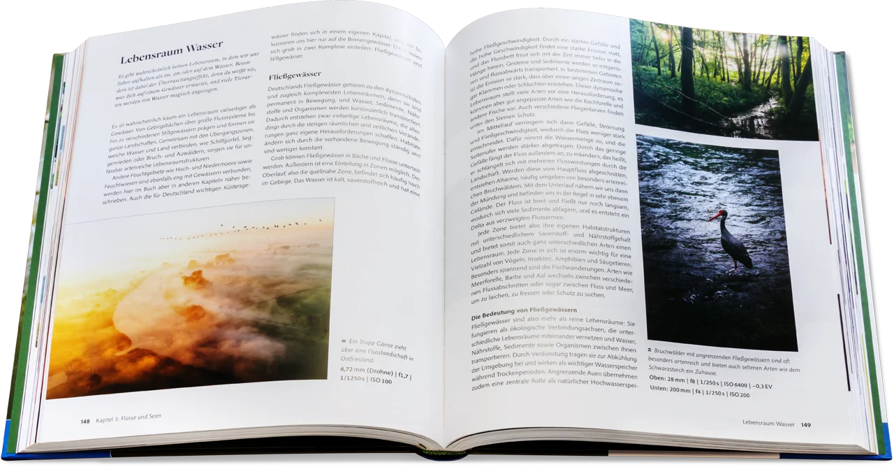 Blick ins Buch: Wildtiere fotografieren