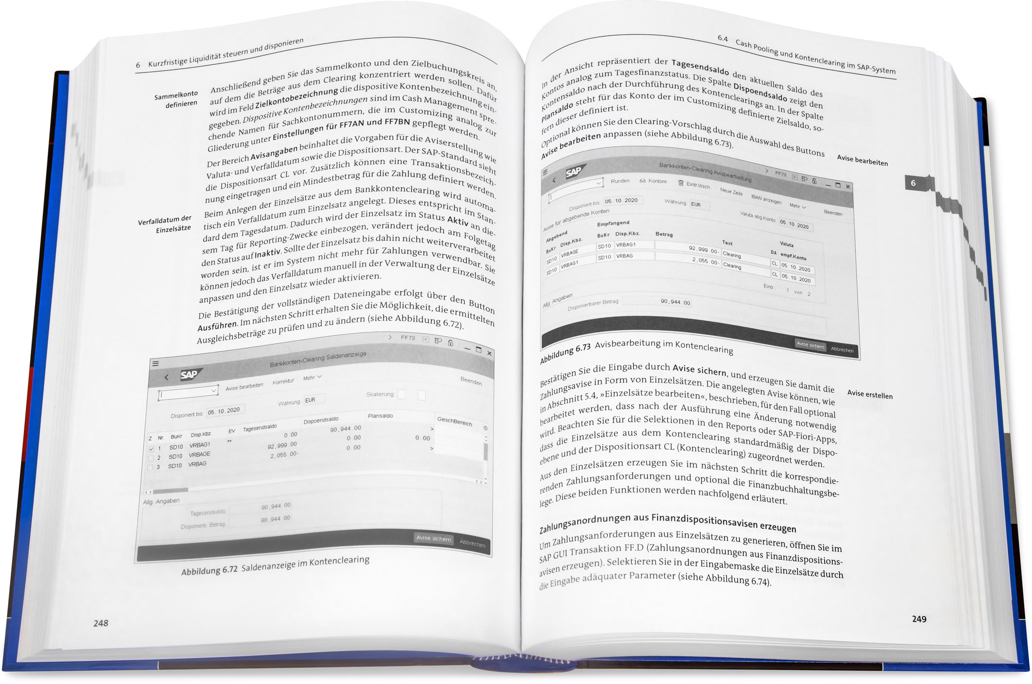 Blick ins Buch: Cash Management mit SAP S/4HANA