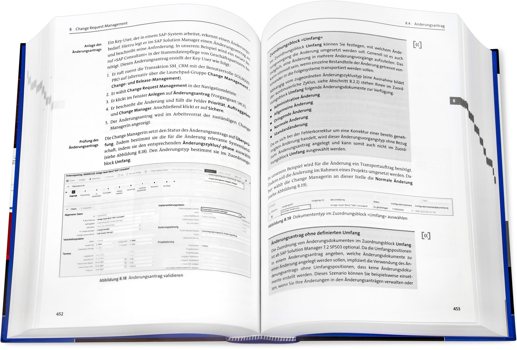 Blick ins Buch: SAP Solution Manager