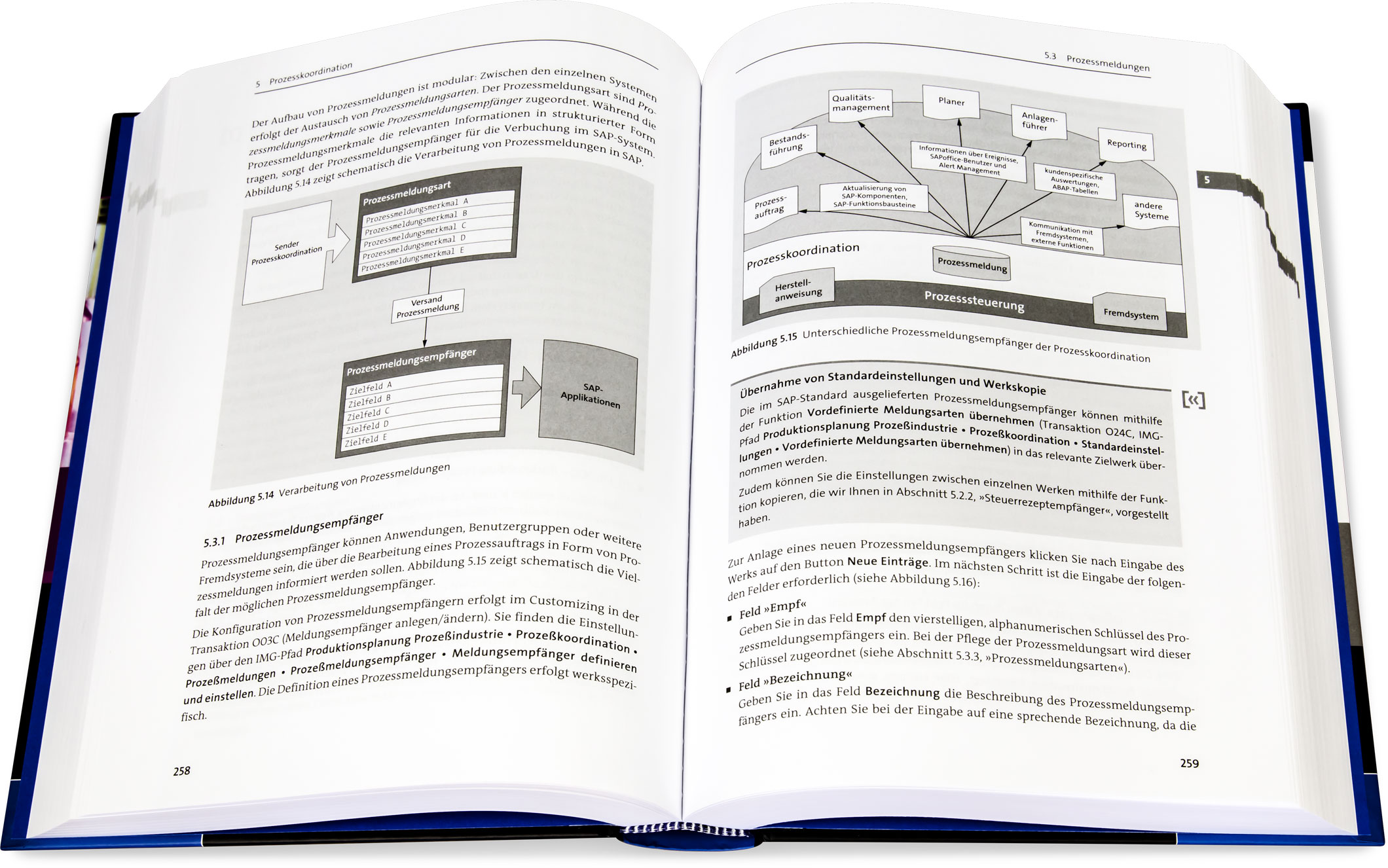 Blick ins Buch: Produktionsplanung mit SAP S/4HANA in der Prozessindustrie