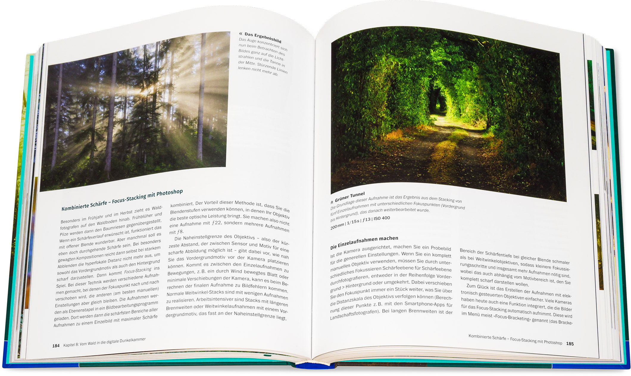 Blick ins Buch: Faszination Waldfotografie