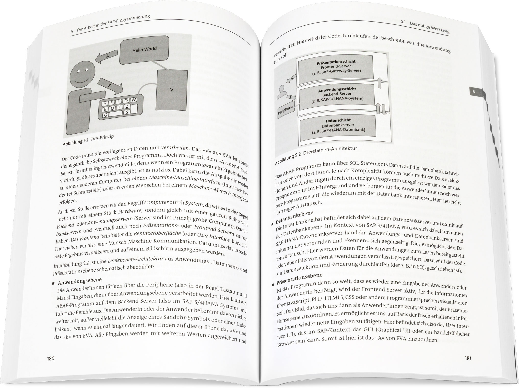 Blick ins Buch: Deine SAP-Karriere