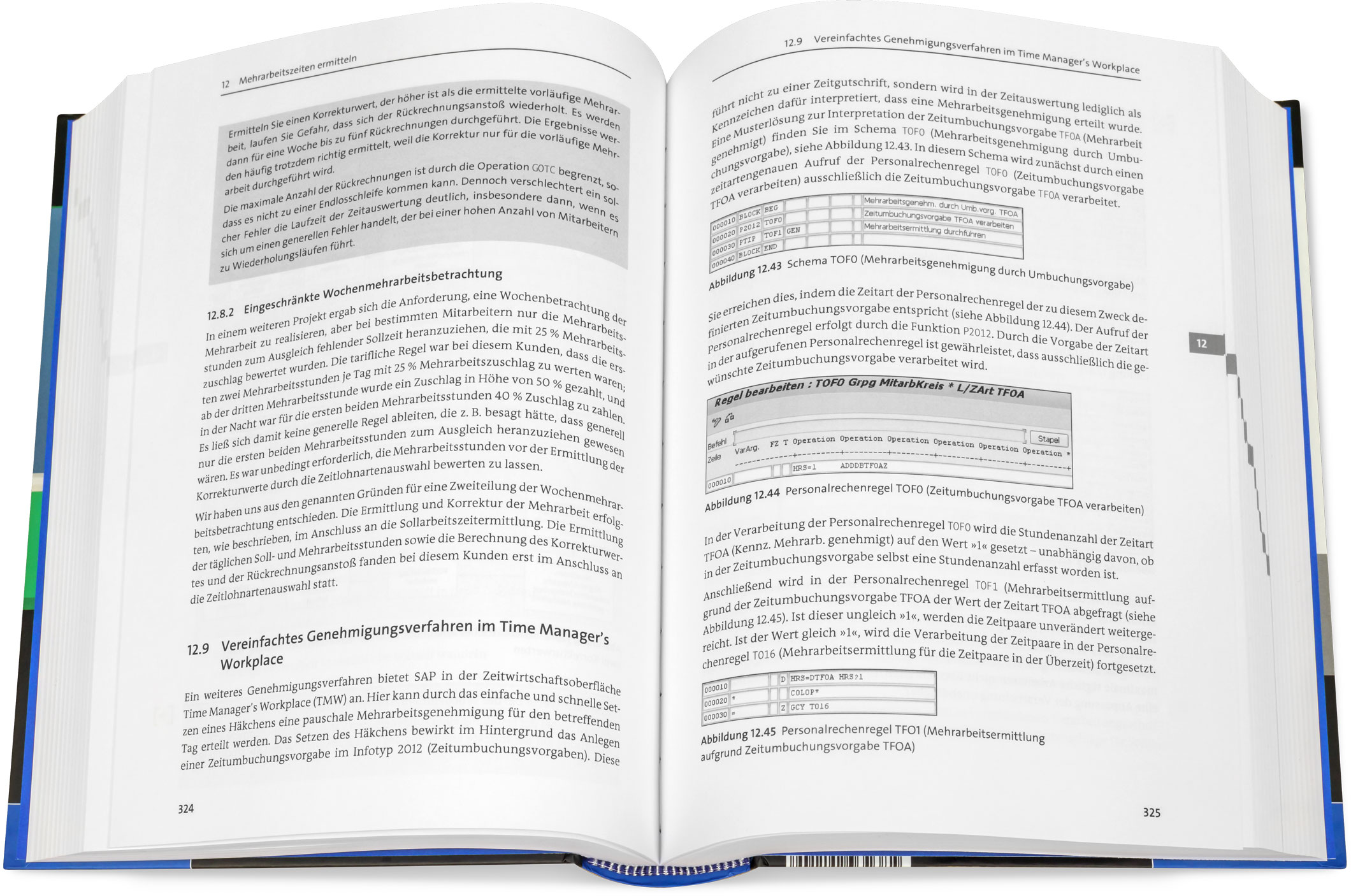 Blick ins Buch: Zeitwirtschaft mit SAP