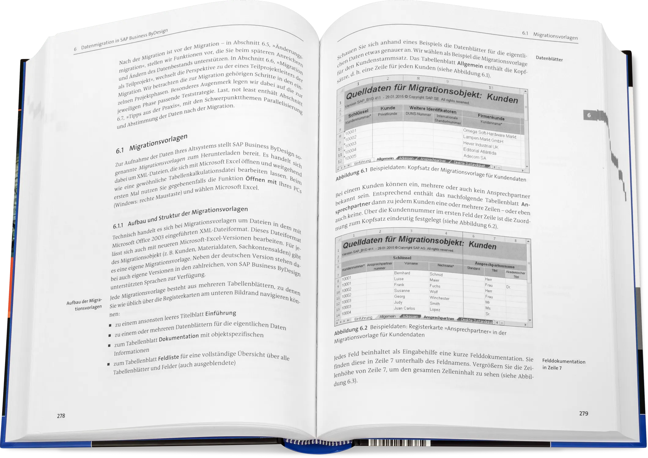 Blick ins Buch: Datenmigration in SAP-Systeme