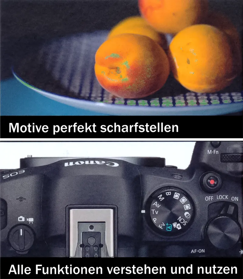 Canon EOS R6 Mark II Das Handbuch zur Kamera