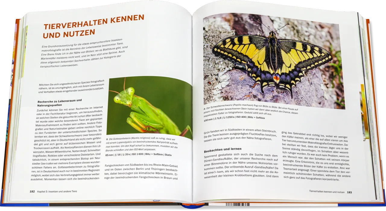Blick ins Buch: Makrofotografie - Die große Fotoschule