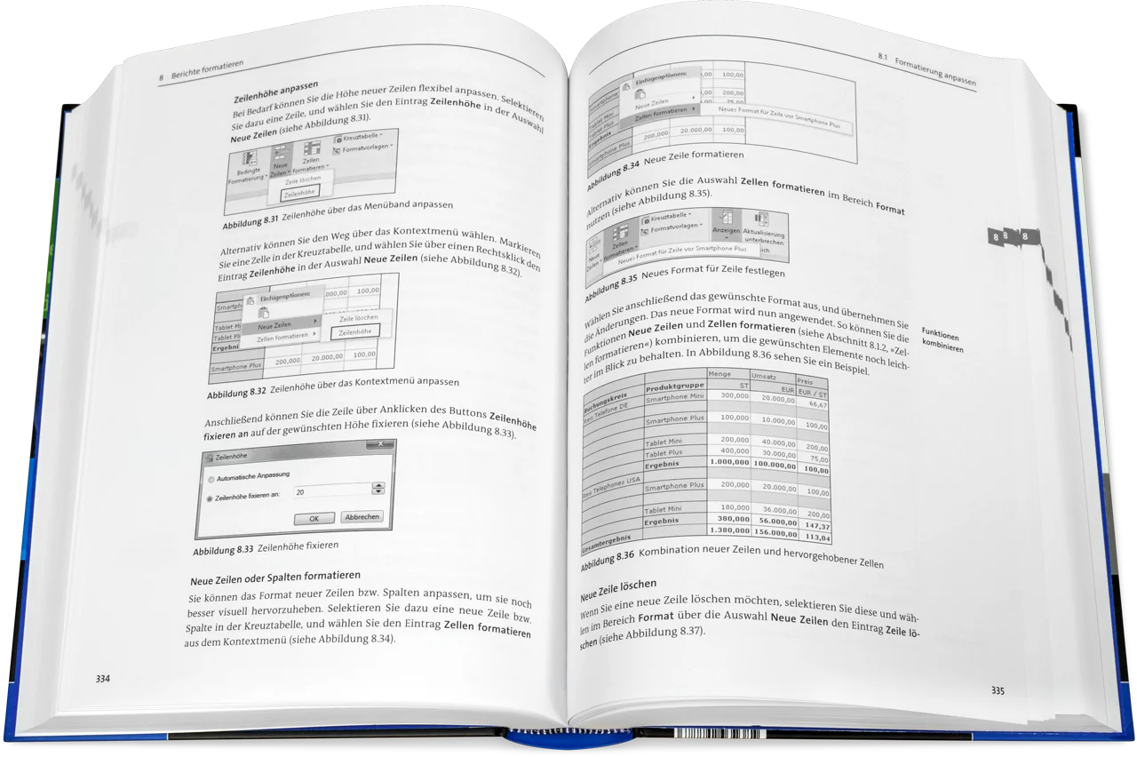 Blick ins Buch: SAP Analysis for Microsoft Office