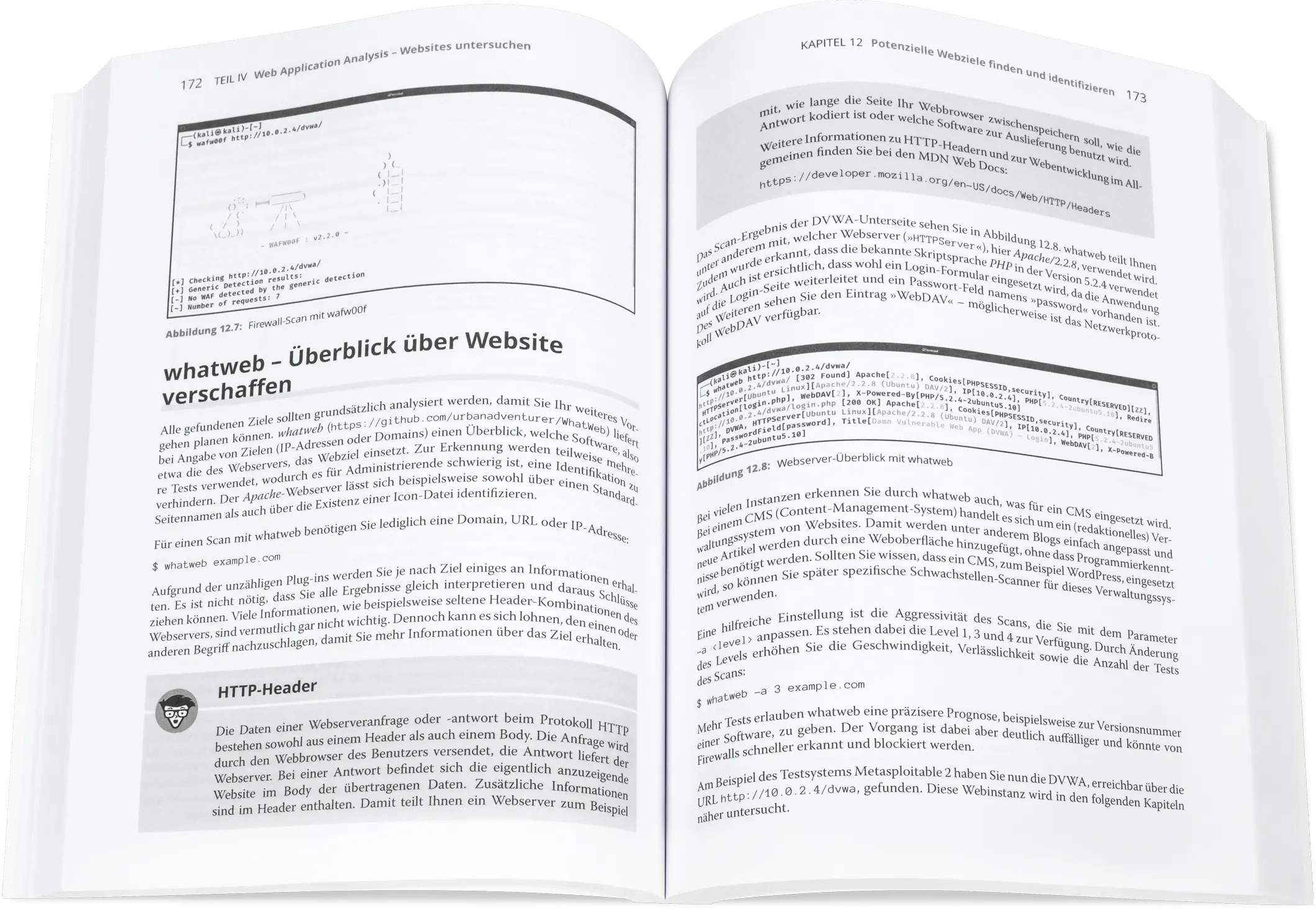 Blick ins Buch: Kali Linux Hacking-Tools für Dummies