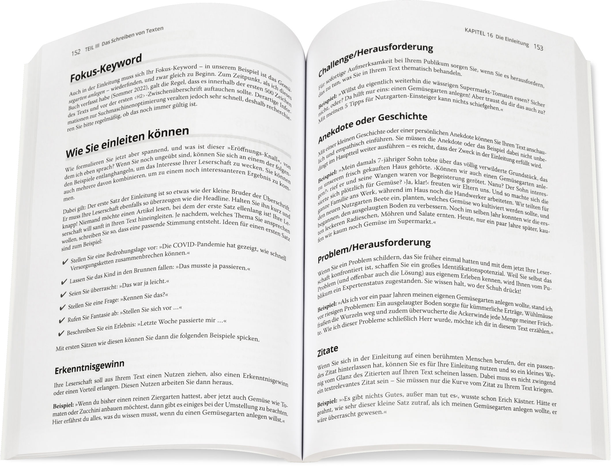 Blick ins Buch: Wirkungsvoll fürs Web texten für Dummies