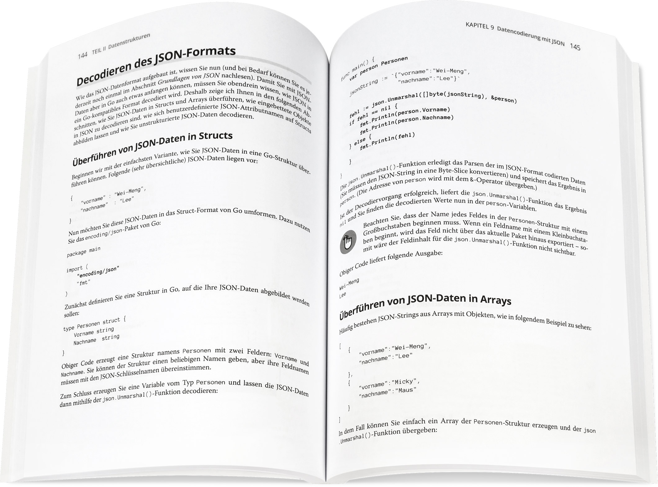 Blick ins Buch: Go programmieren für Dummies