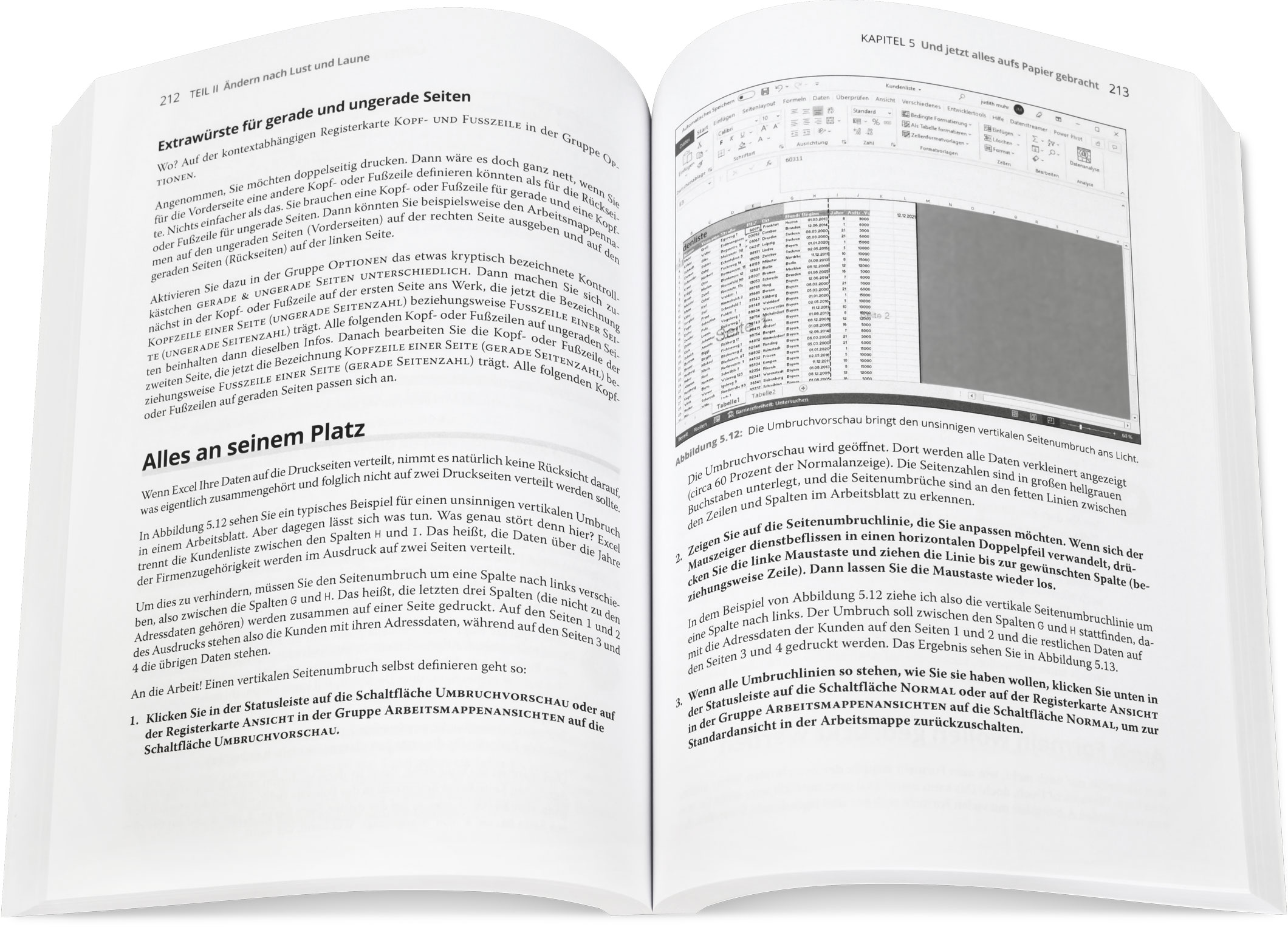 Blick ins Buch: Excel 2021 für Dummies