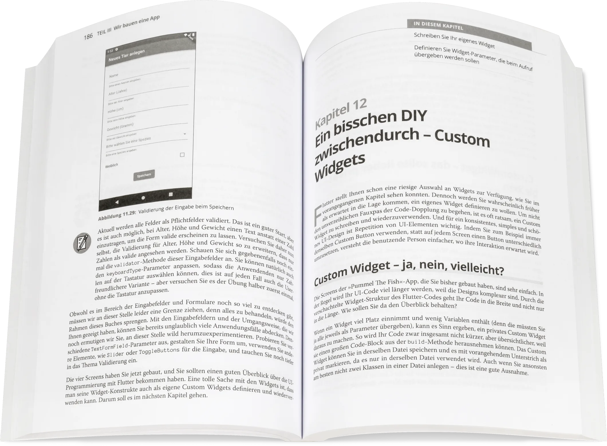 Blick ins Buch: App-Entwicklung mit Flutter für Dummies