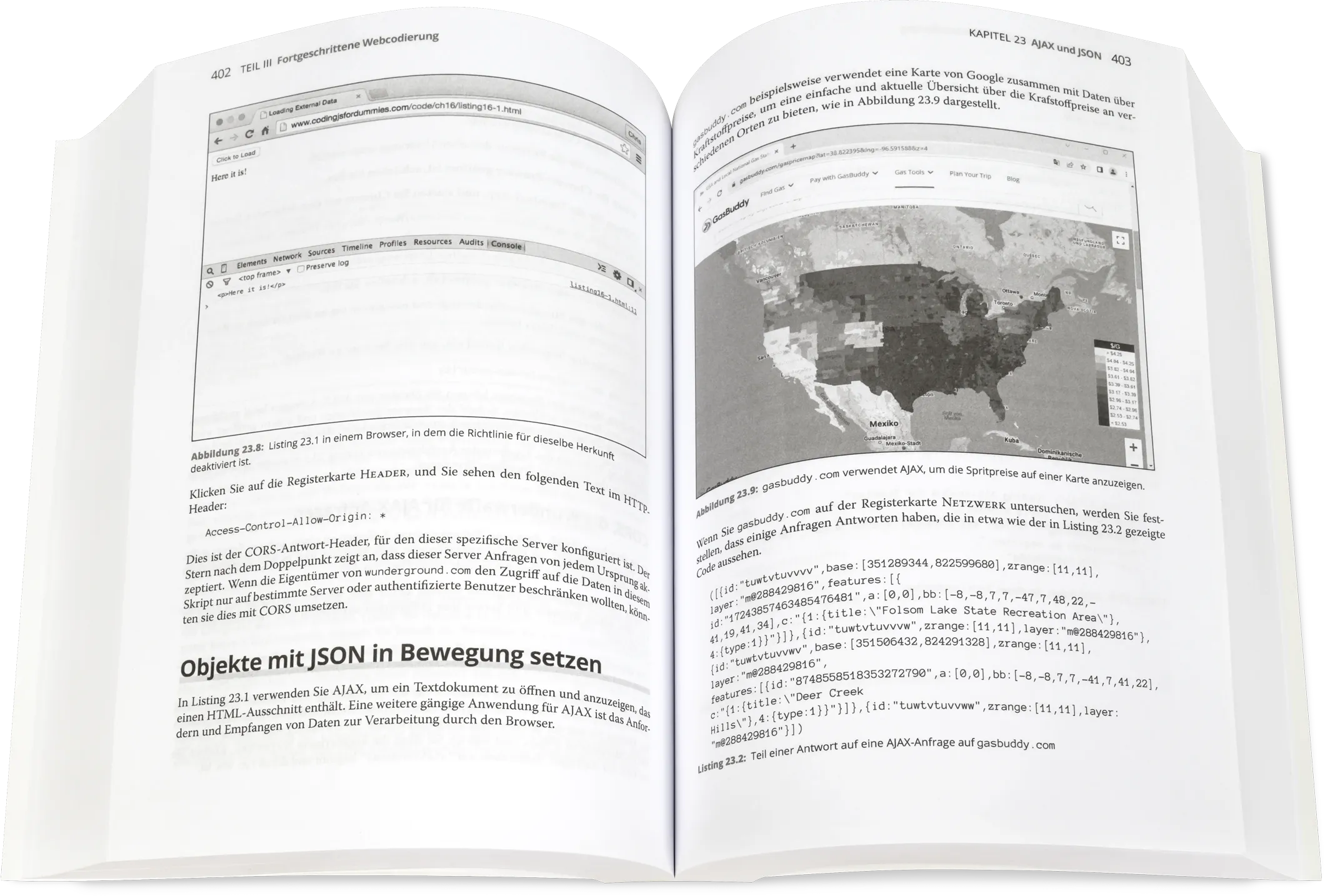 Blick ins Buch: Coding für Dummies