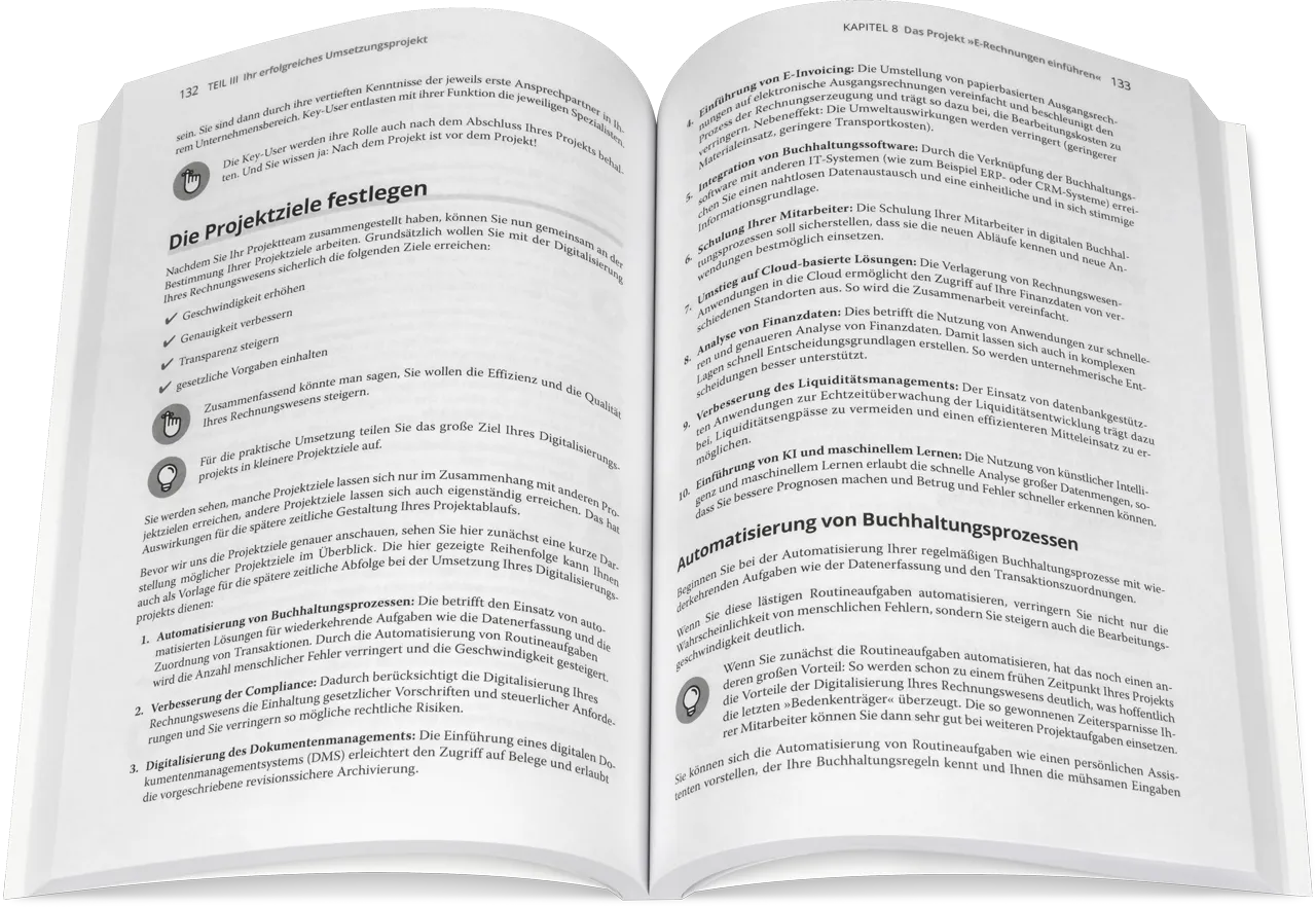 Blick ins Buch: E-Rechnungen für Dummies