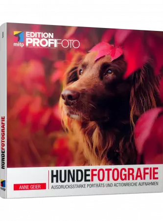 Hundefotografie