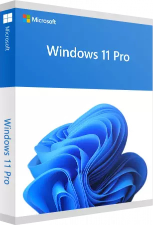 Windows 11 Pro - 64 Bit SB - DVD