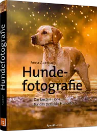 Hundefotografie