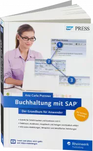 Buchhaltung mit SAP