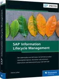 SAP Information Lifecycle Management