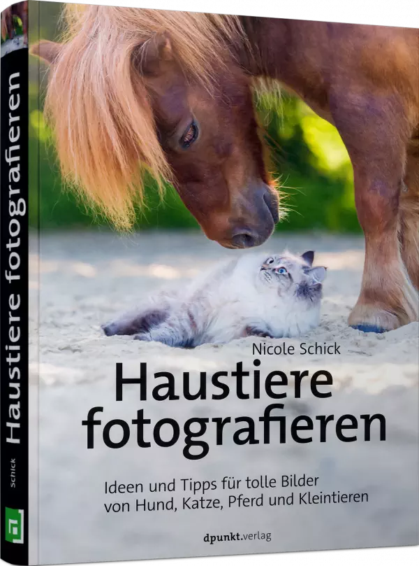 Haustiere fotografieren
