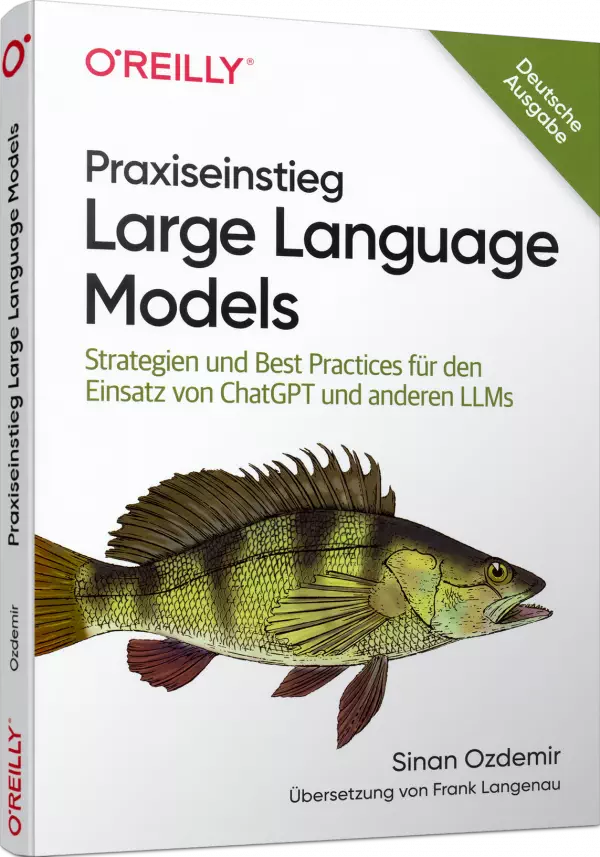 Praxiseinstieg Large Language Models