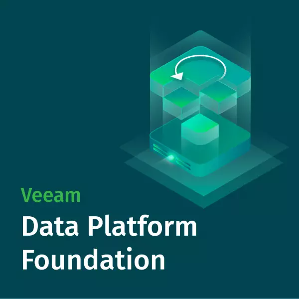 Data Platform Foundation VUL Perpetual 10 Instanzen