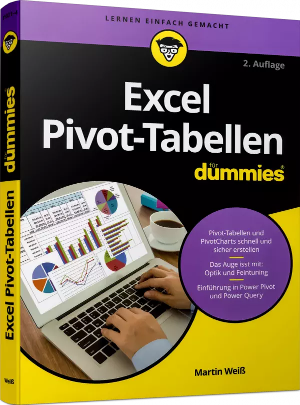 Excel Pivot-Tabellen für Dummies