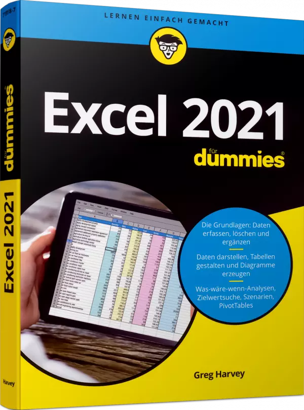 Excel 2021 für Dummies