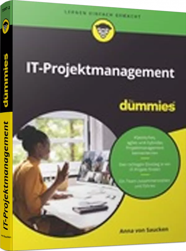 IT-Projektmanagement für Dummies