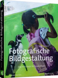 Fotografische Bildgestaltung, ISBN: 978-3-86490-502-5, Best.Nr. DP-5025, erschienen 04/2019, € 34,90