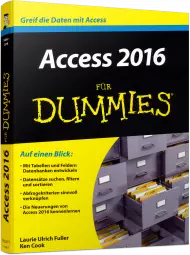 Access 2016 für Dummies